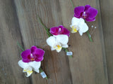 Bouts & Corsages 3